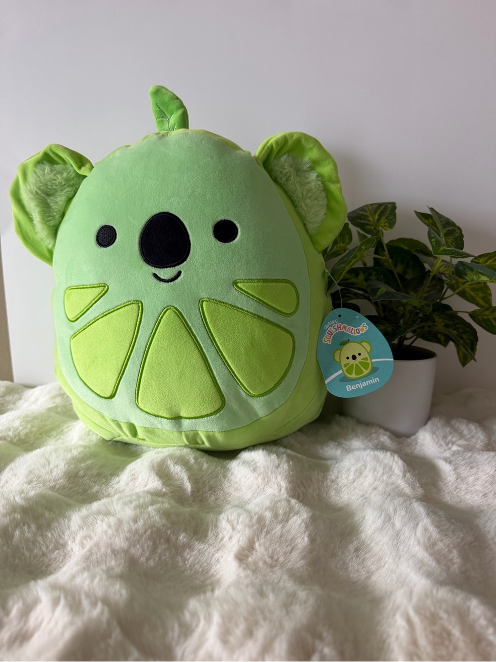Squishmallows Benjamin Lime Green Koala Plush